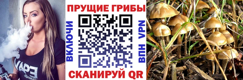 Псилоцибиновые грибы GOLDEN TEACHER  где найти   Качканар 